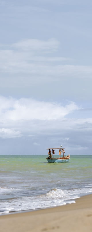 THE ALAGOAS DREAMS