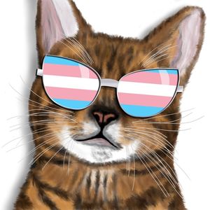 TRANS KITTY