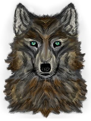 LOBO 2