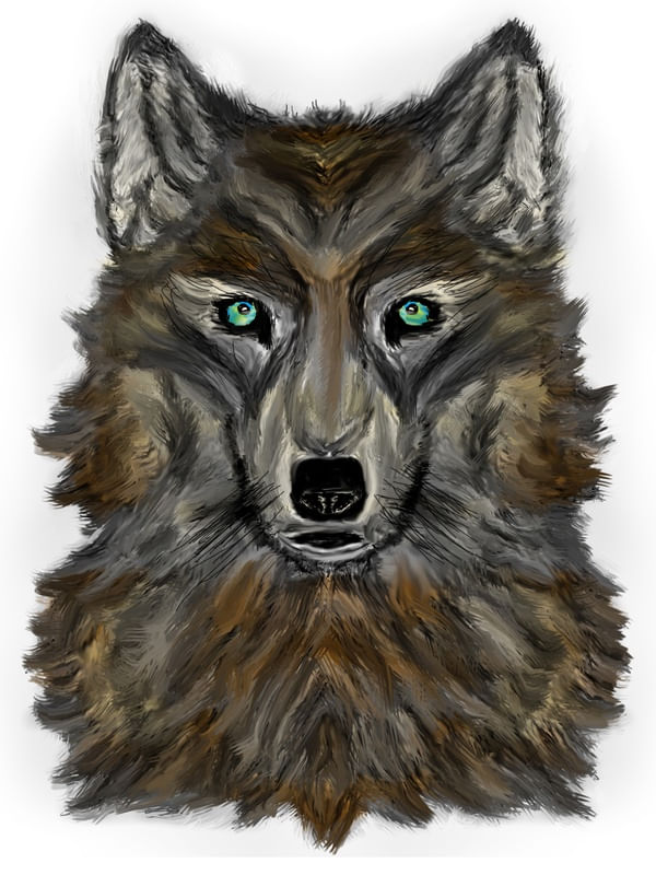 LOBO 2
