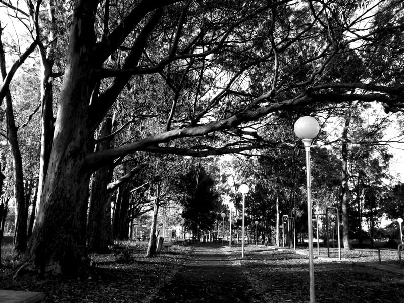 PARQUE URBANO PRETO E BRANCO