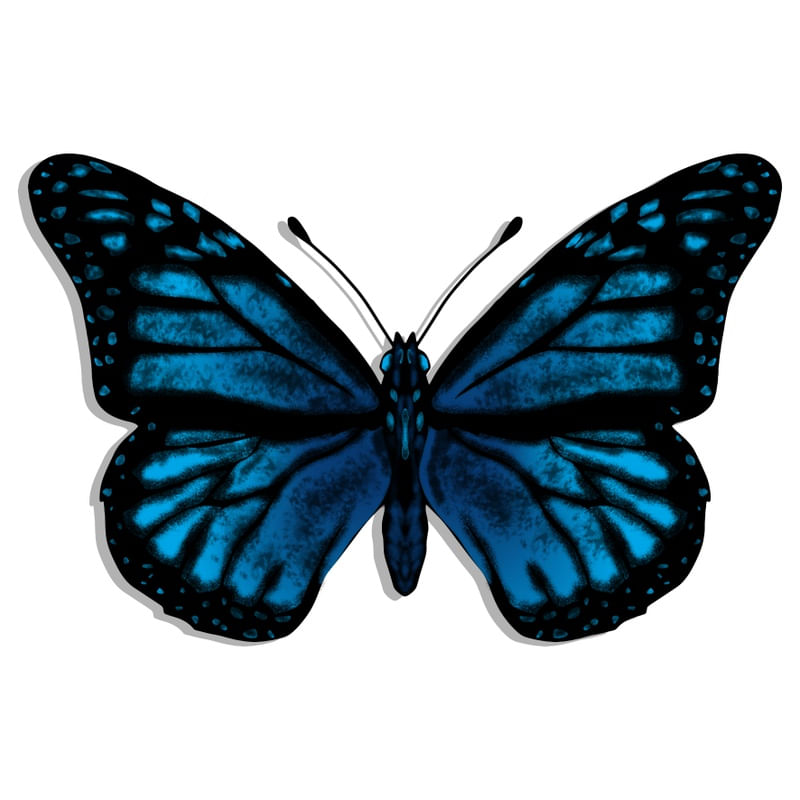 BORBOLETA_1