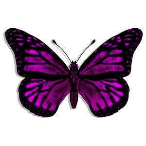 BORBOLETA_2