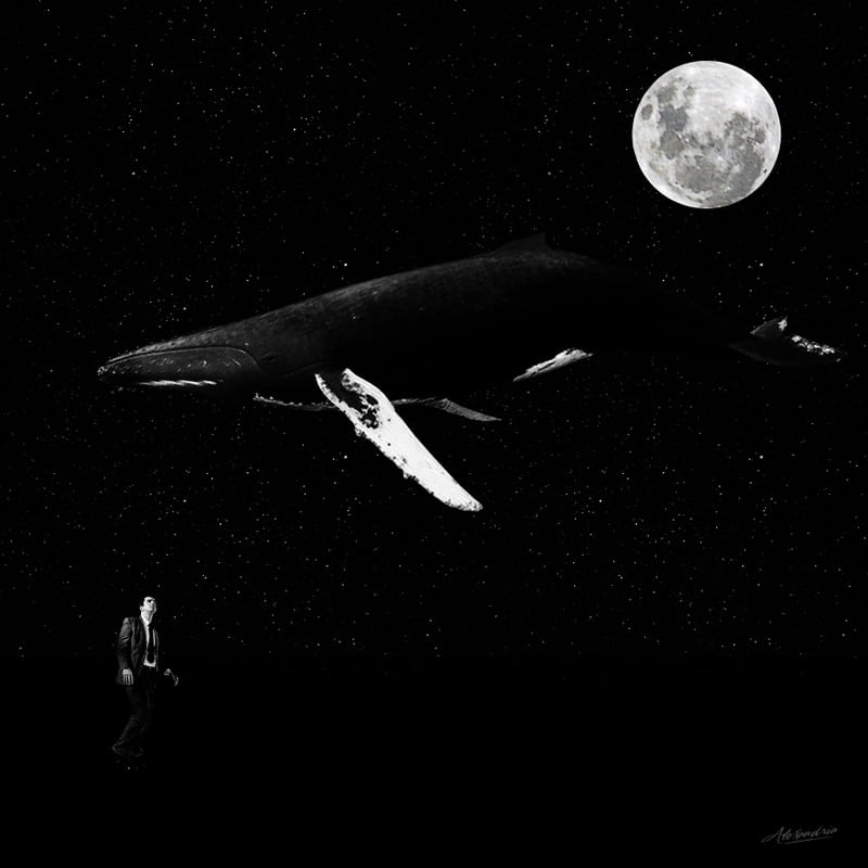 BALEIA NAS ESTRELAS