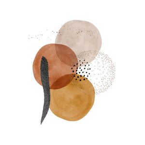 TERRAE 6