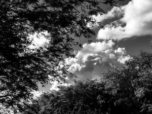 CÉU NA NATUREZA