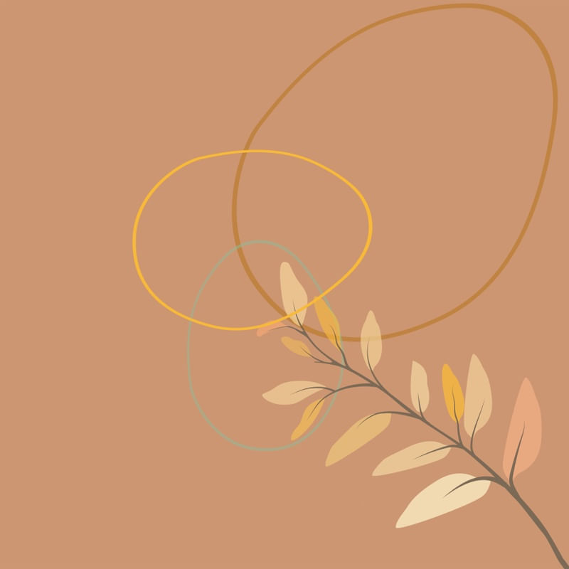 FLORES MINIMALISTAS