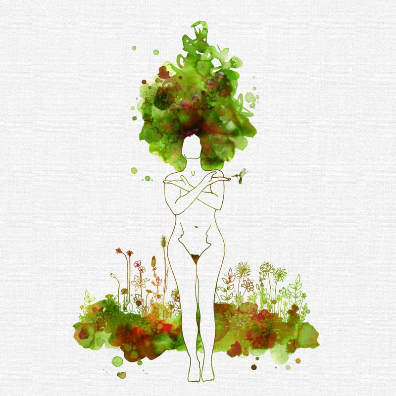 MEDICINA DA FLORESTA