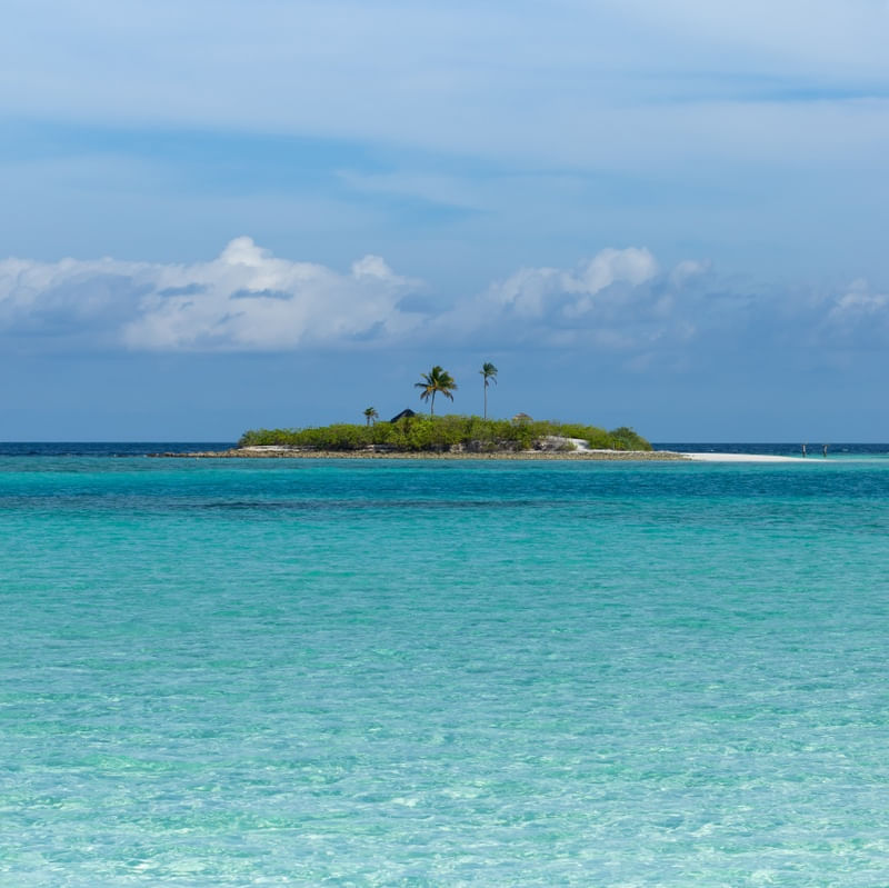 ILHA MALDIVAS TRÊS COQUEIROS - QUADRADO