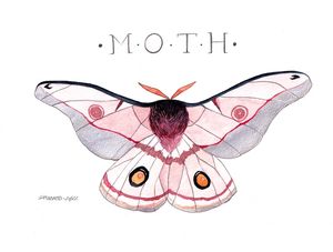 ROSE MOTH