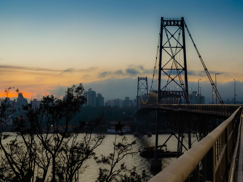 DAWN ON THE BRIDGE