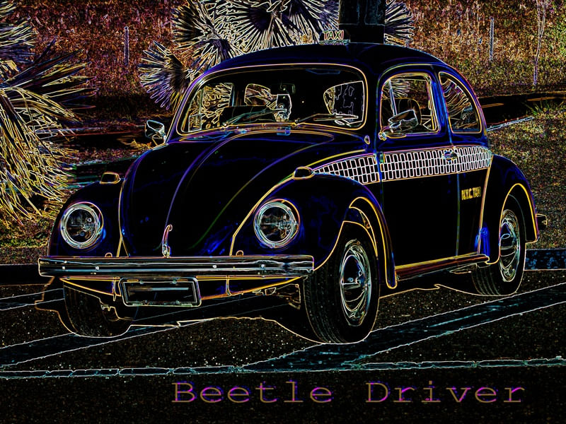 BEETLE DRIVER