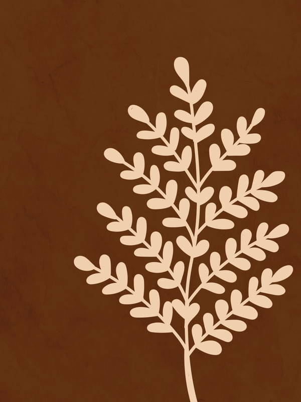 FLORA MINIMALISTA 1