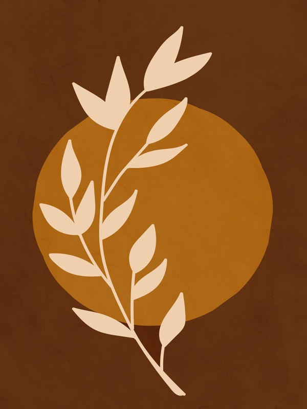 FLORA MINIMALISTA 2