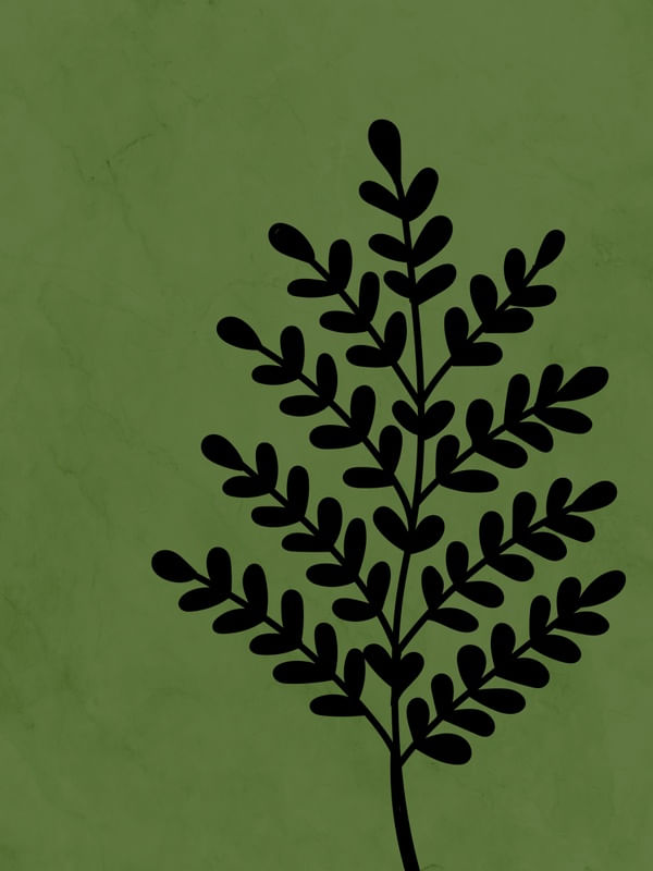 FLORA MINIMALISTA 4