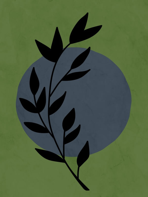 FLORA MINIMALISTA 5