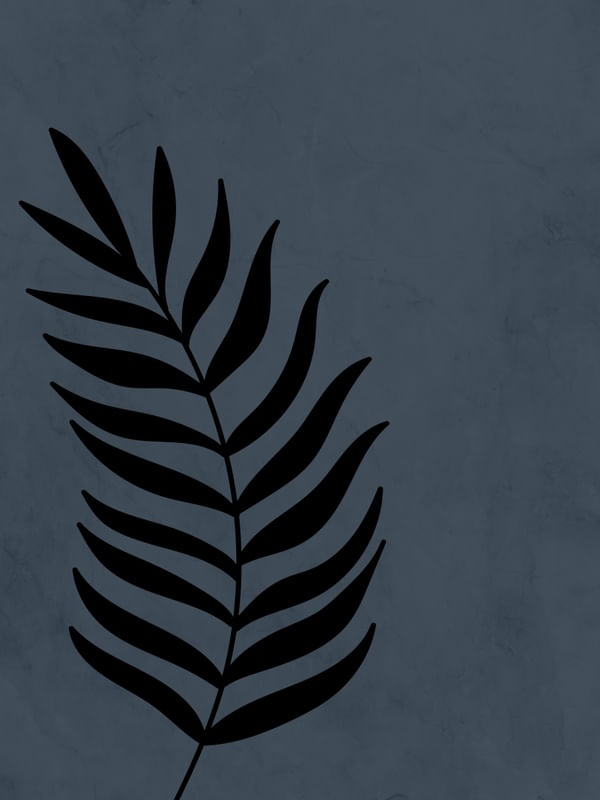 FLORA MINIMALISTA 6