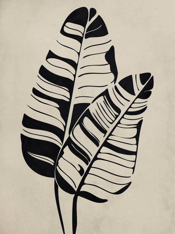 NOSSA FLORA PB 1