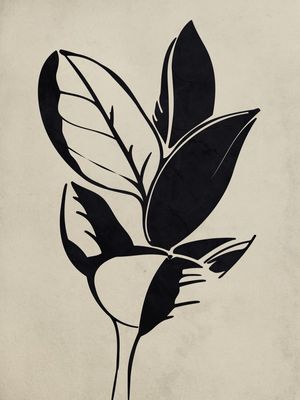 NOSSA FLORA PB 3