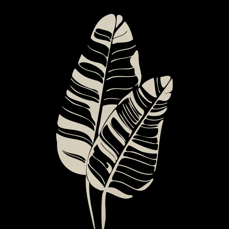 NOSSA FLORA PB 4