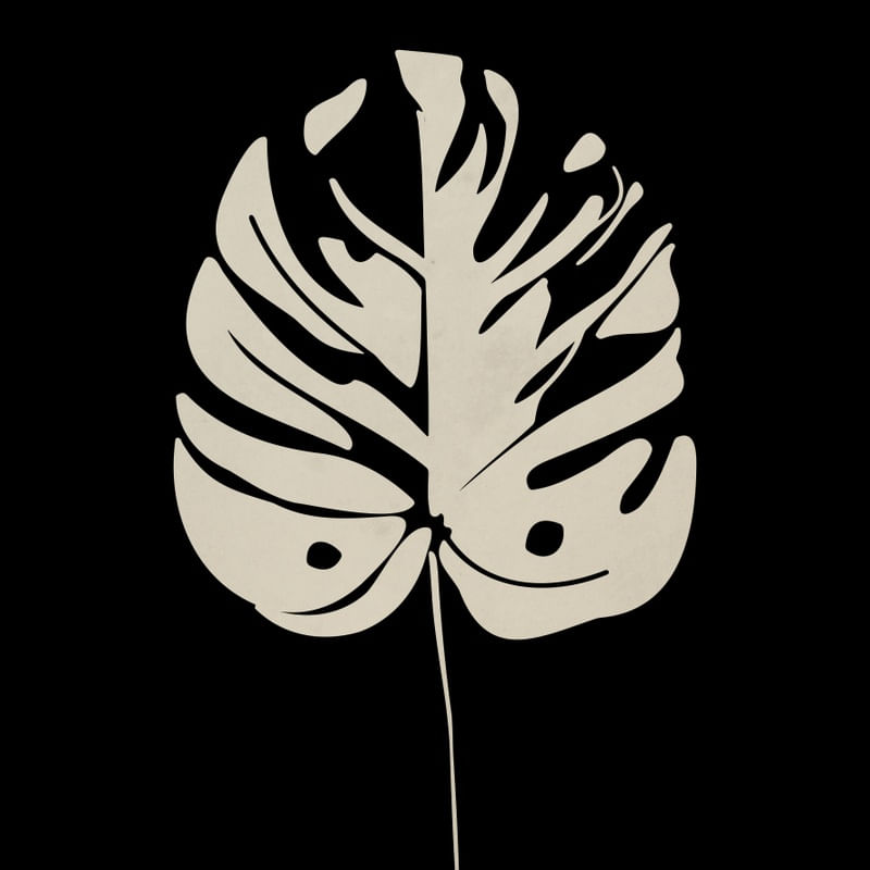 NOSSA FLORA PB 5