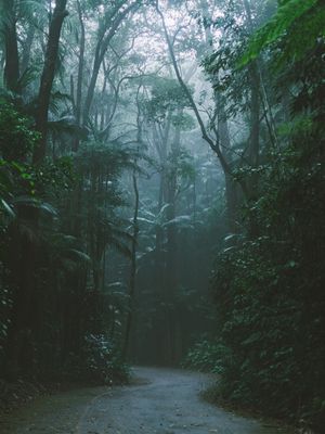 MY HOME