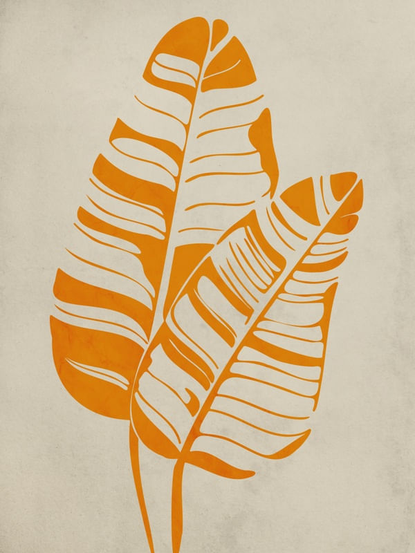 NOSSA FLORA UA 1