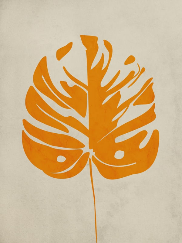 NOSSA FLORA UA 2
