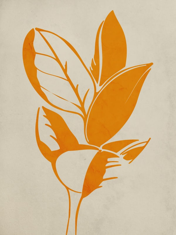 NOSSA FLORA UA 3