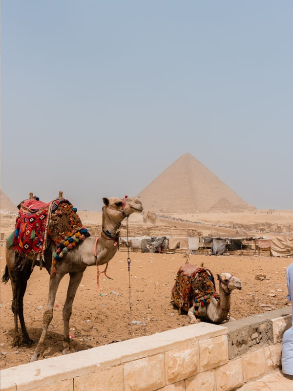 PIRÂMIDES E CAMELOS