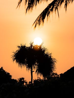 PÔR DO SOL MALDIVAS