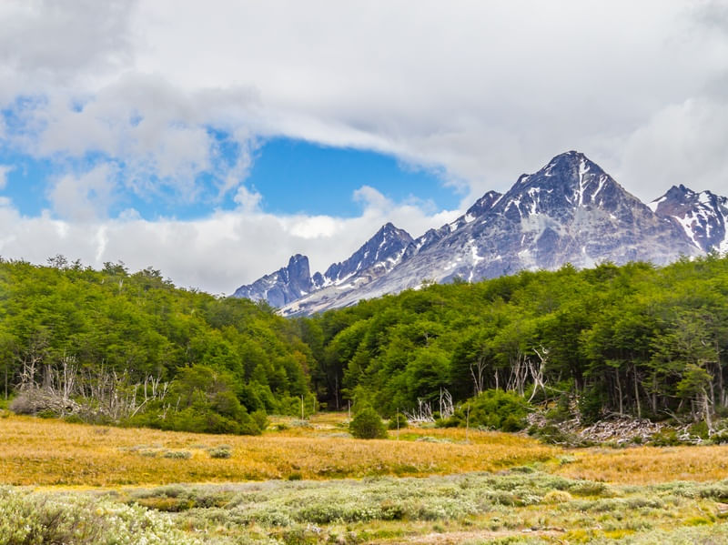 MONTANHAS E FLORESTA EM VALLE DE LOBOS - USHUAIA