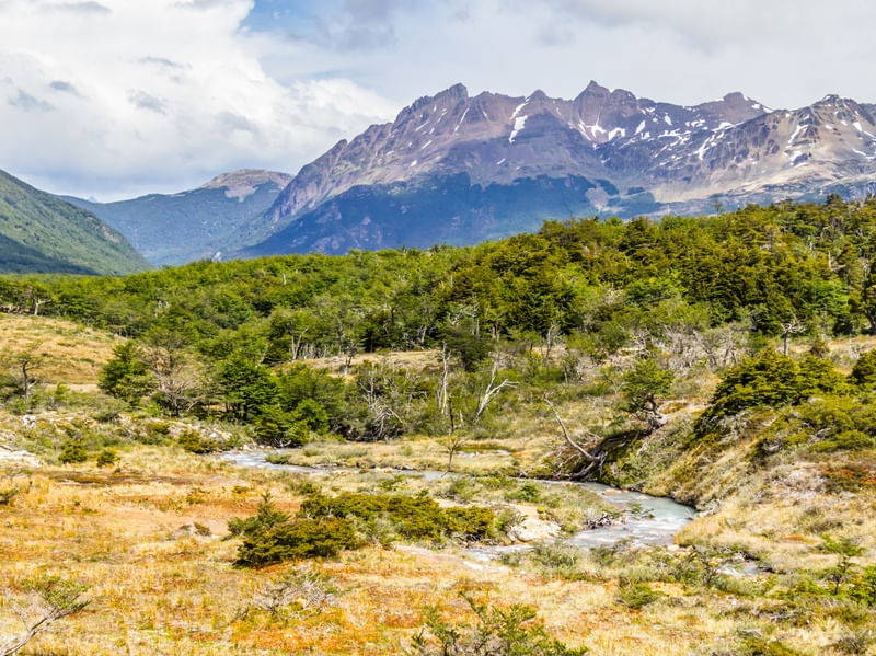 VALLE DE LOBOS - USHUAIA