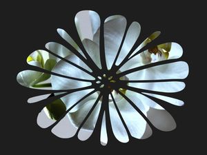 NATURE HELP 13 ARTISTA GLORIA RIMES