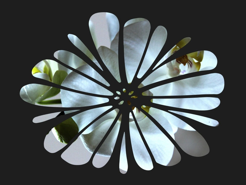 NATURE HELP 13 ARTISTA GLORIA RIMES