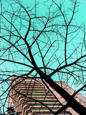 ARQUITETURA E NATUREZA M