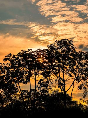 SUNSET TENEBROSO