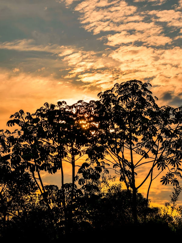 SUNSET TENEBROSO