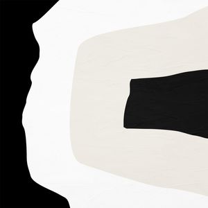 ABSTRATO ORGÂNICO - 211B - Q
