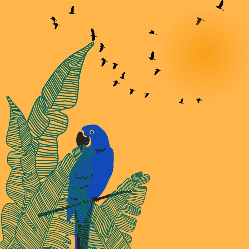 BRASIL ART