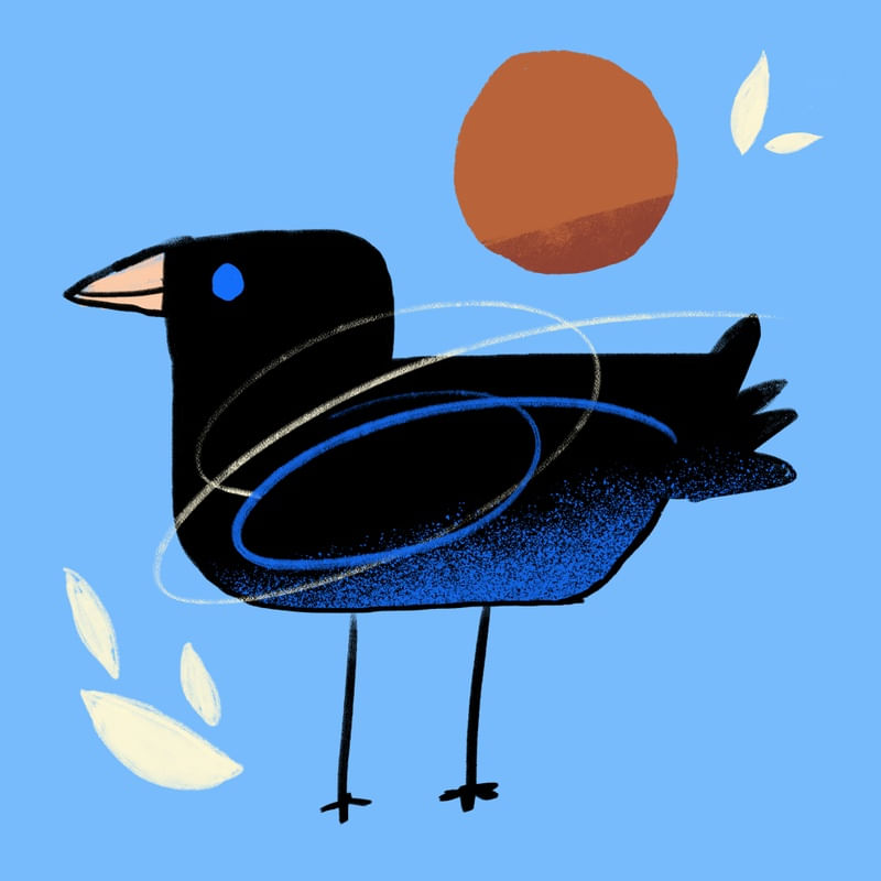 BLACKBIRD SINGING IN THE DEAD OF NIGHT