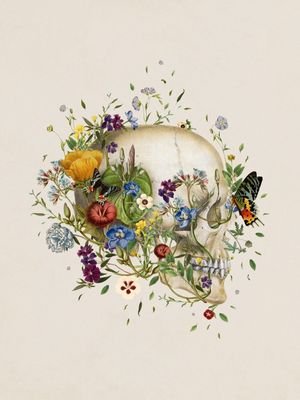SKULL AND BUTTERFLY