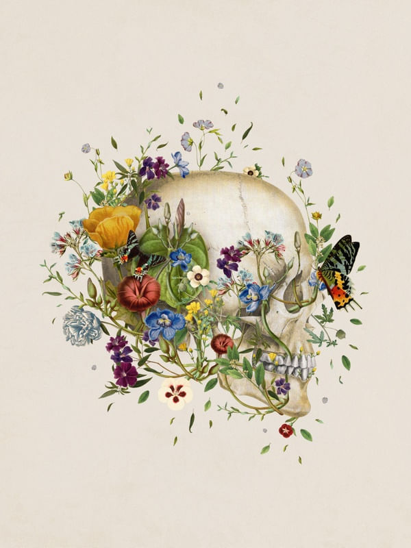 SKULL AND BUTTERFLY