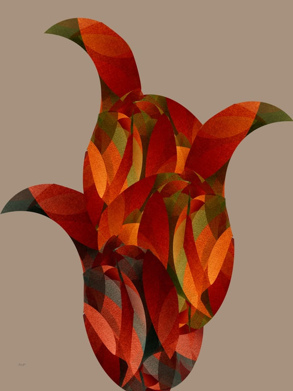 ABSTRACT BIRDS 18.07.2022