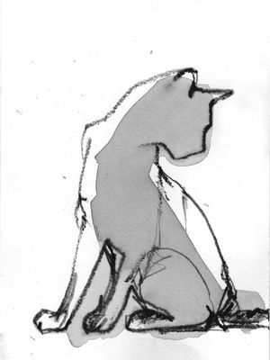 GATO 01