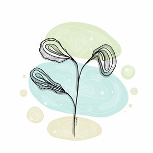 PAPEL-DE-PAREDE-PLANTA-ALTERNATIVA