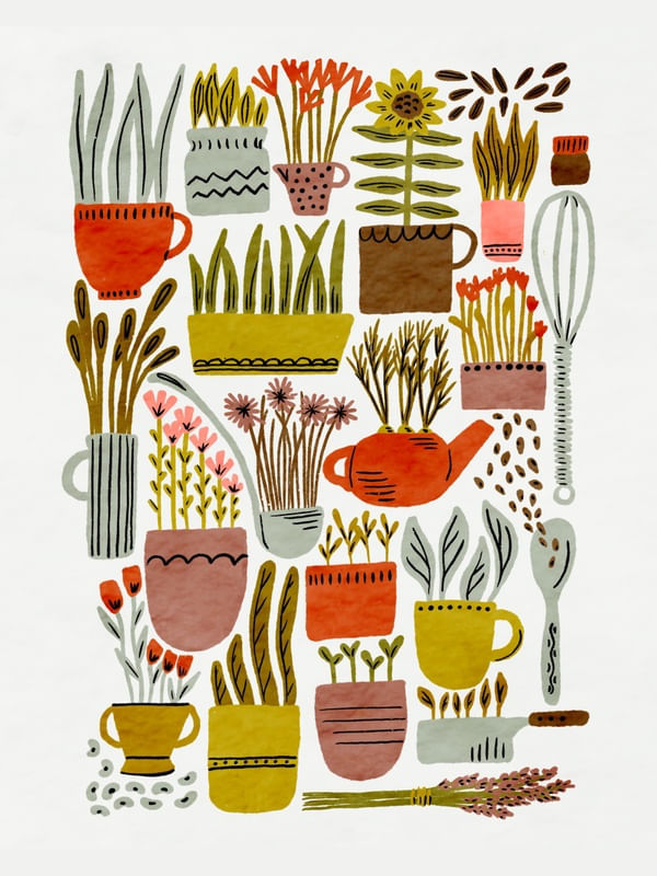AMY MCCREADY - KITCHEN GARDEN