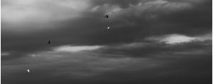 A FUGA NO CÉU