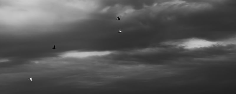 A FUGA NO CÉU
