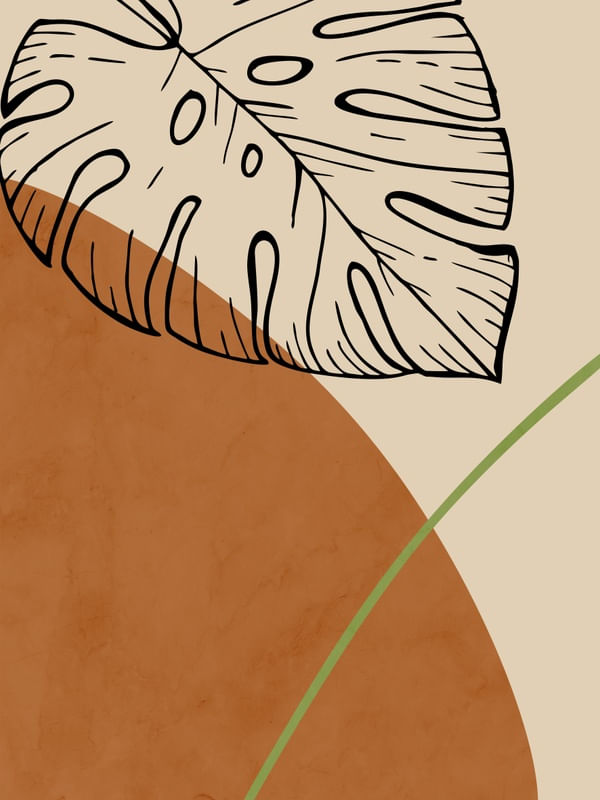 BOTANICA MINIMALISTA 3